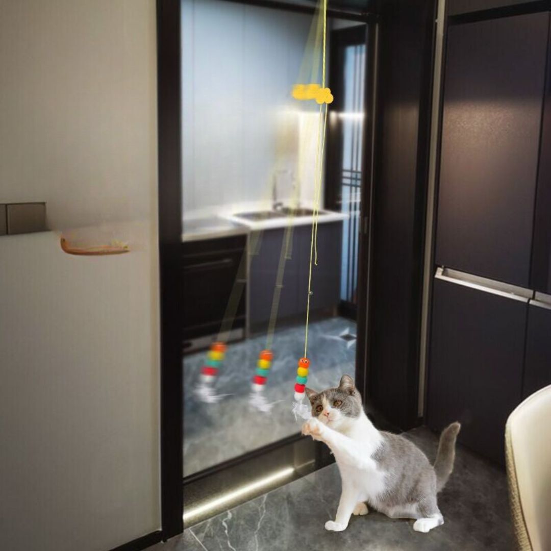 SwingPaws - Schwingendes Katzenspielzeug für aktive Pfoten