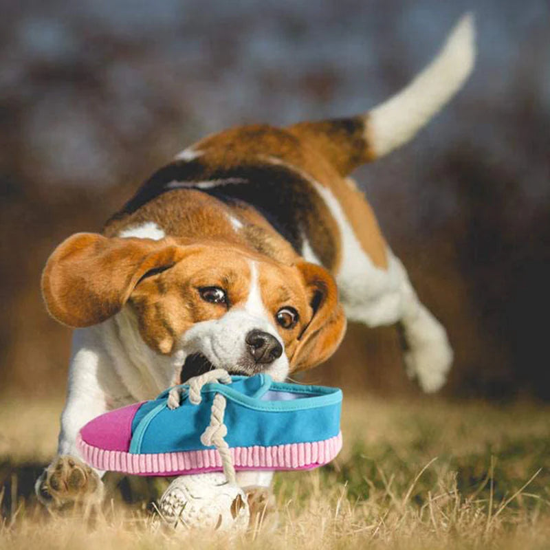 Hunde Schuh Kauspielzeug