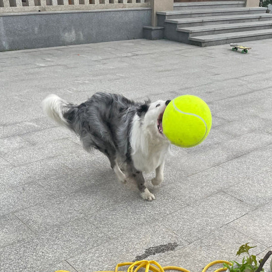 BellaPro - Monster Tennis Ball
