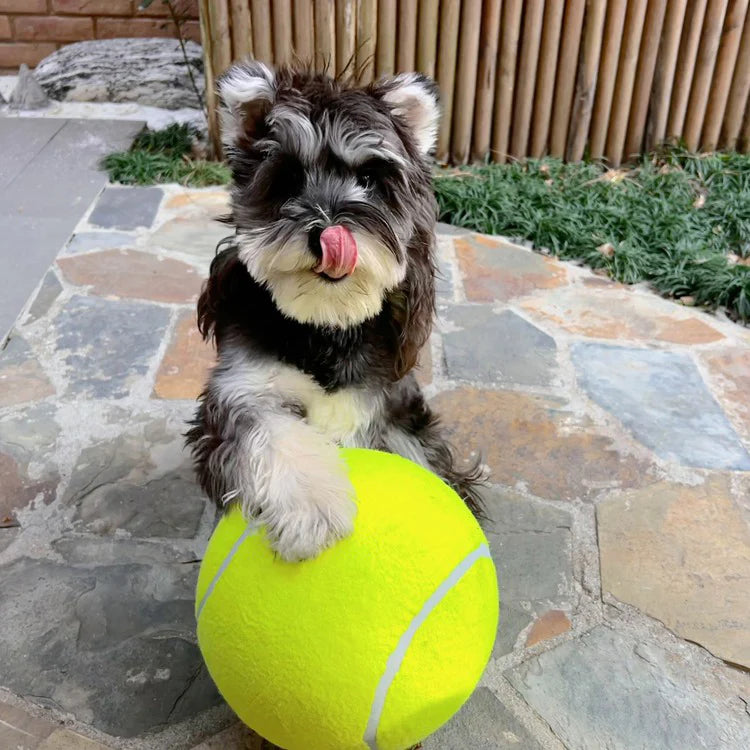 BellaPro - Monster Tennis Ball