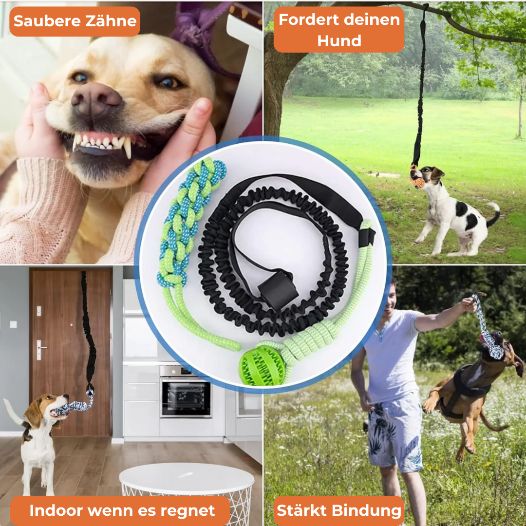 ZerrFix – Interaktives Spielzeug für Zieh- und Kauvergnügen