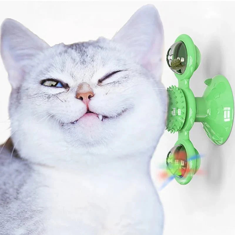 SpinPaws Katzenspielzeug
