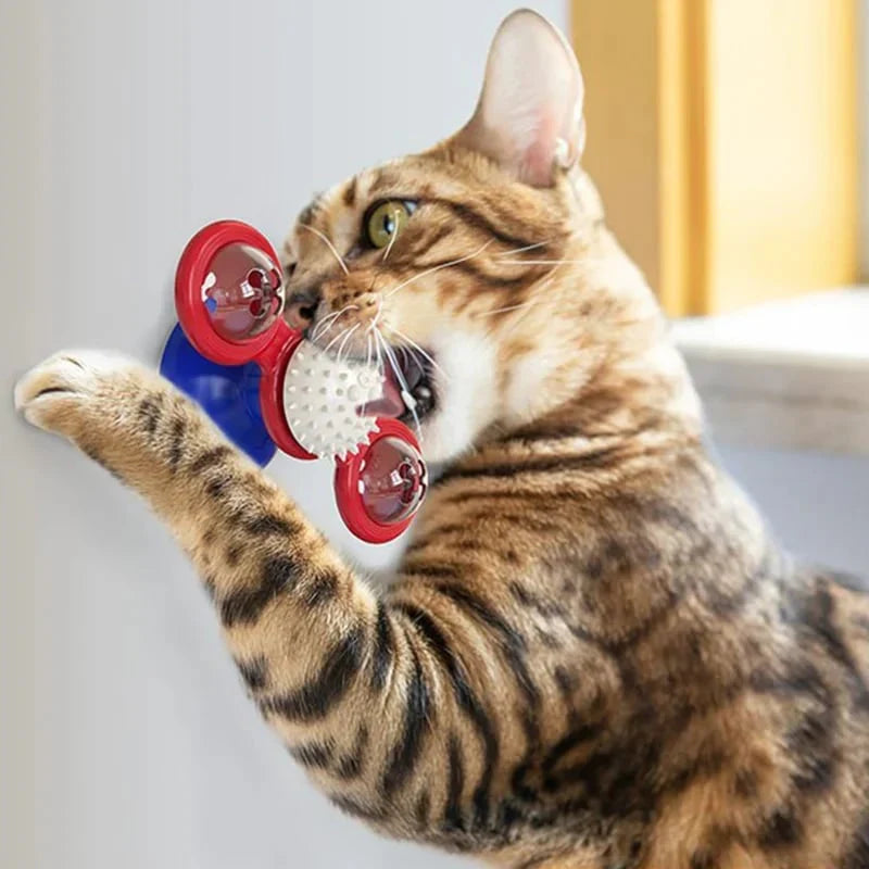 SpinPaws Katzenspielzeug