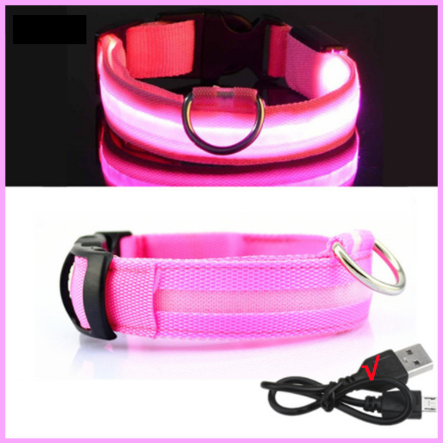 Sicheres LED-Hundehalsband
