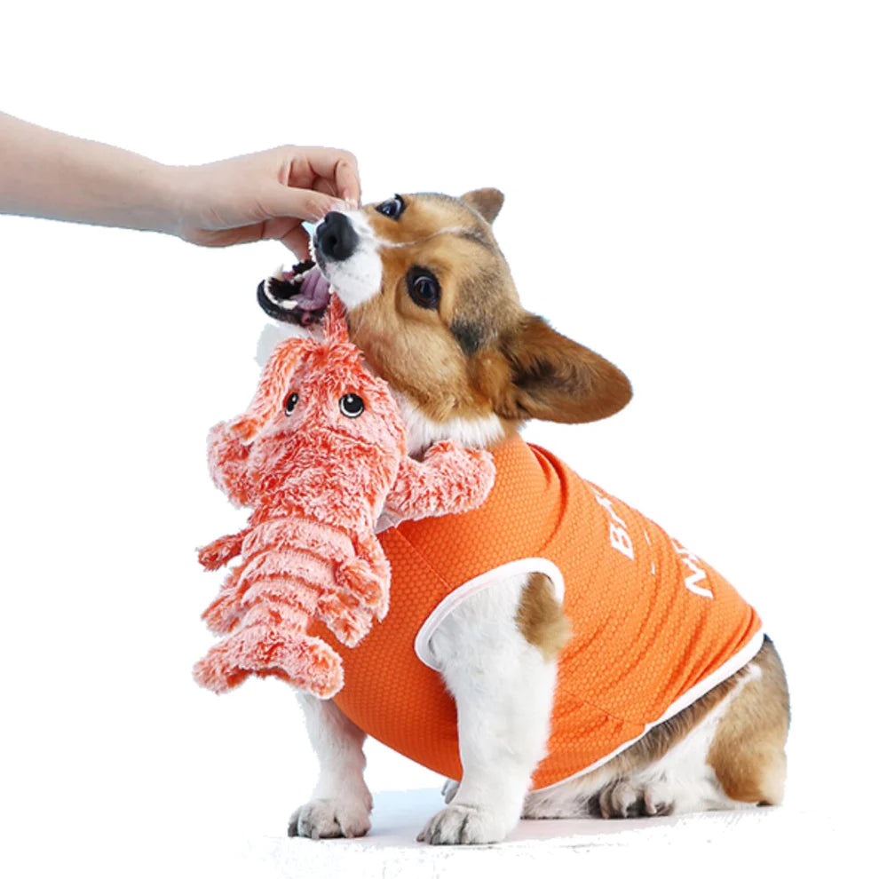 Zappelnder Hummer Interaktives Hundespielzeug