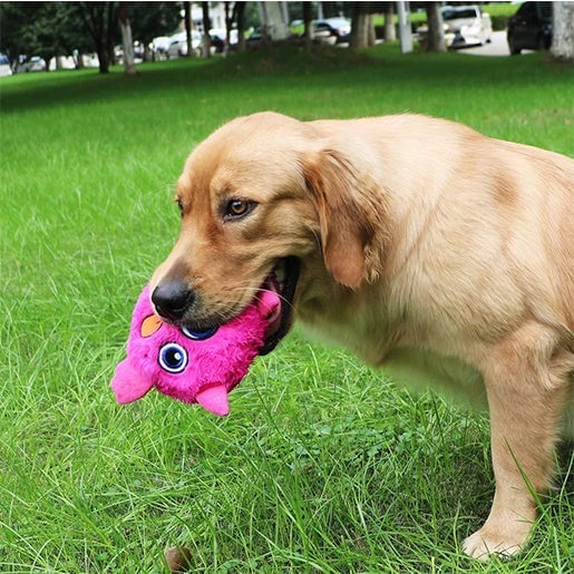 Hüpfender Hunde Monster Ball