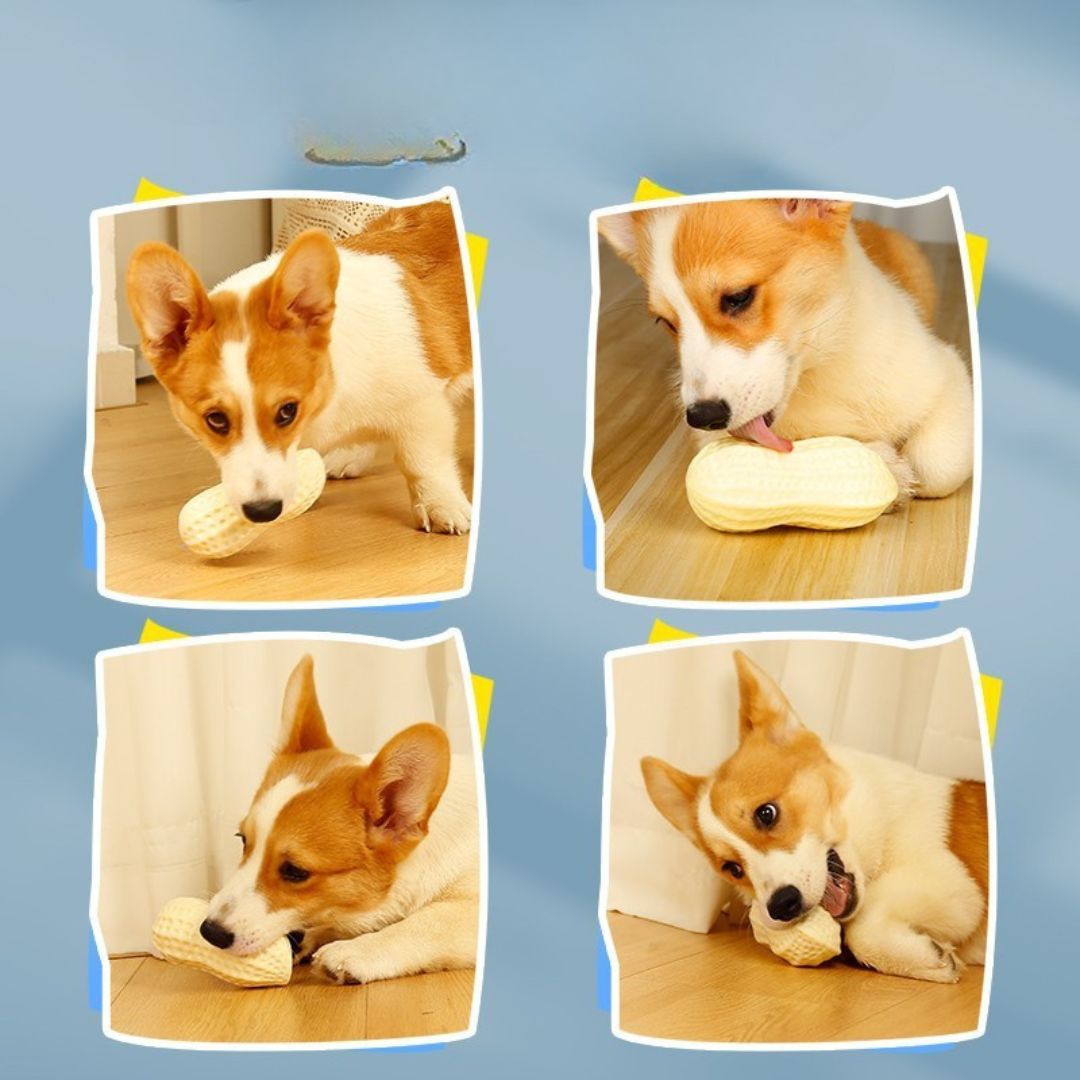 Nussi - Kauspielzeug