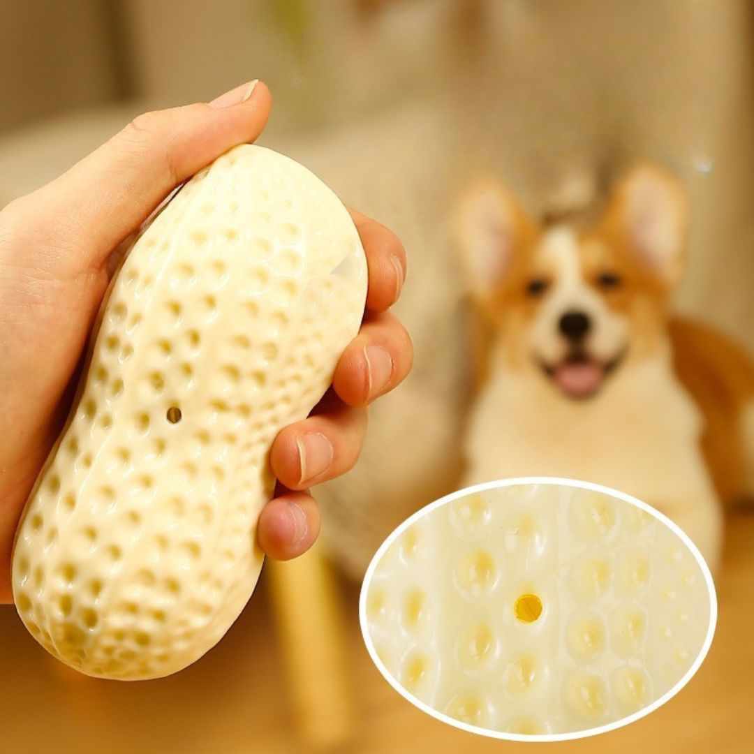 Nussi - Kauspielzeug