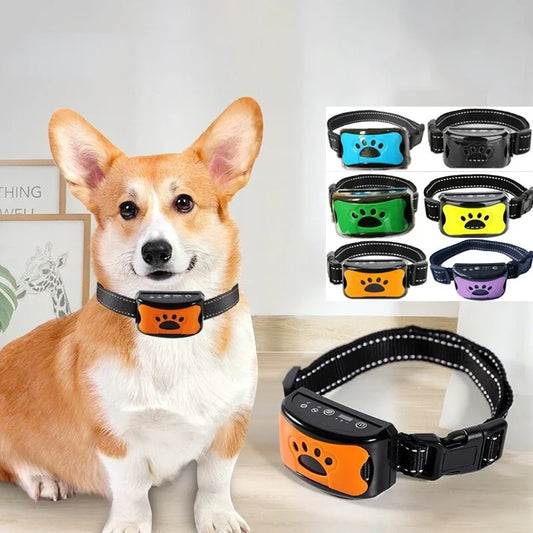 Bellstop - tiergerechtes Hundehalsband