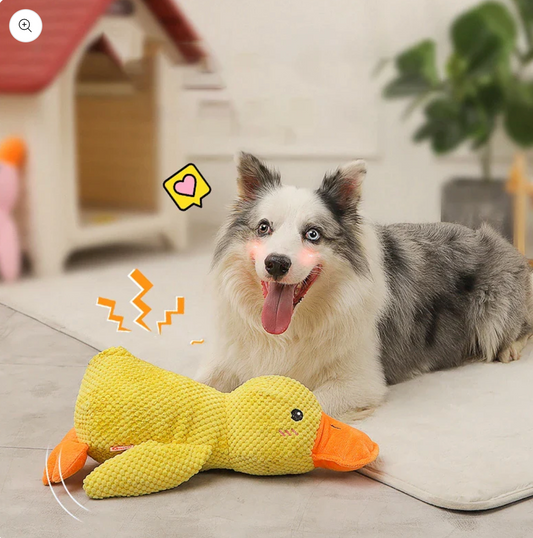 Quack-Quack Hunde Entenspiel