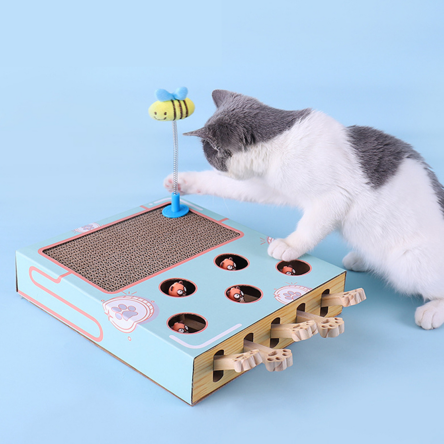 3-in-1 Katzen Box Spiel