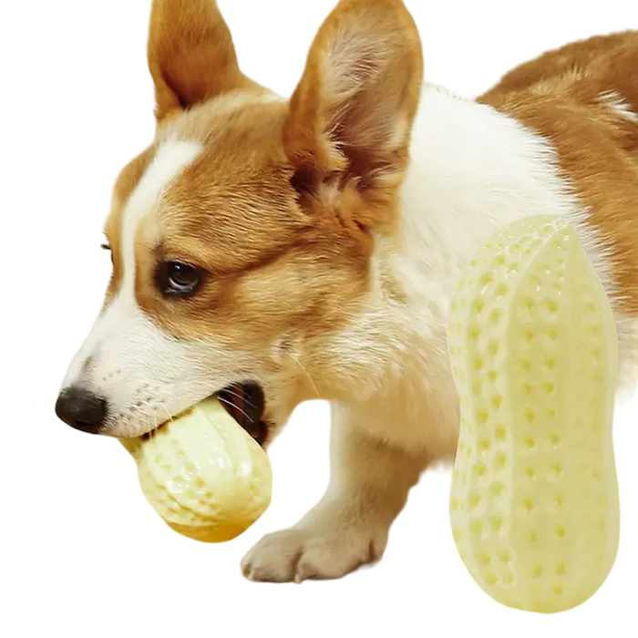 Nussi - Kauspielzeug