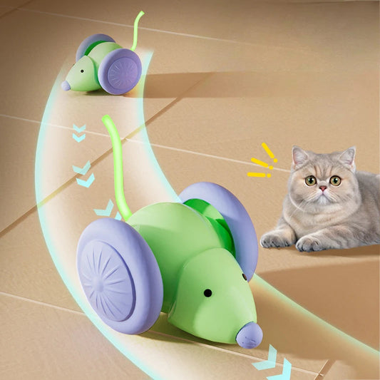 Katzenspielzeug Schnappschwanz