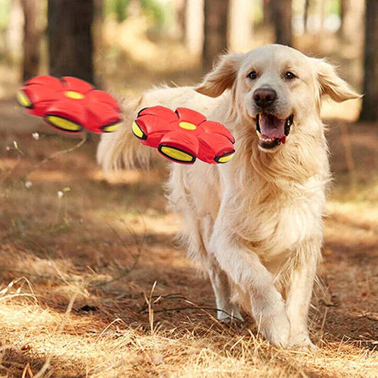 Fliegende Untertasse Hundespielzeug