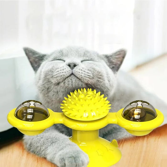 MIEZ das Katzenkarussell