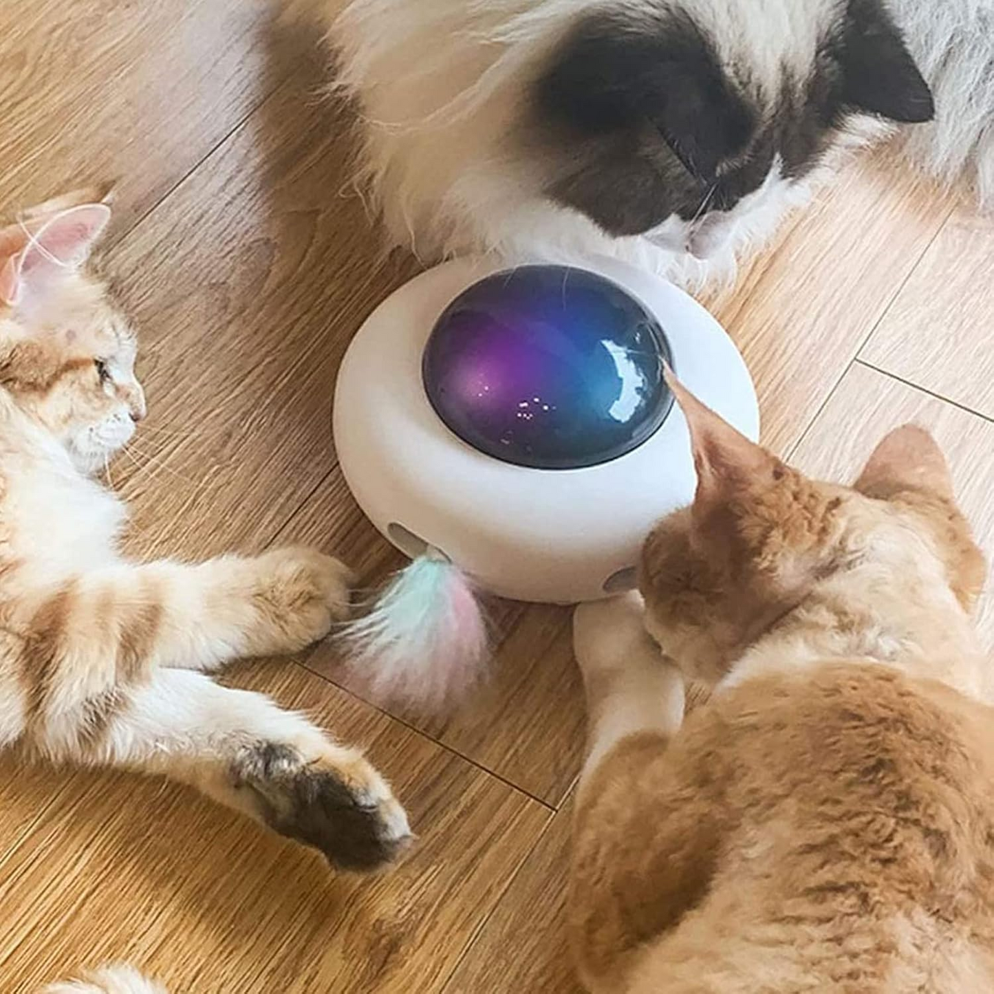 GalaxiCat - Interaktives Katzenufo Spielzeug