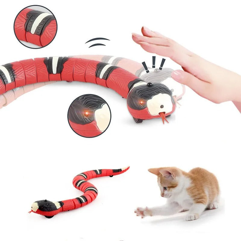 Snakey - Interaktives Hundespielzeug