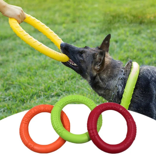 Apportierspielzeug - Bella’s Flugring