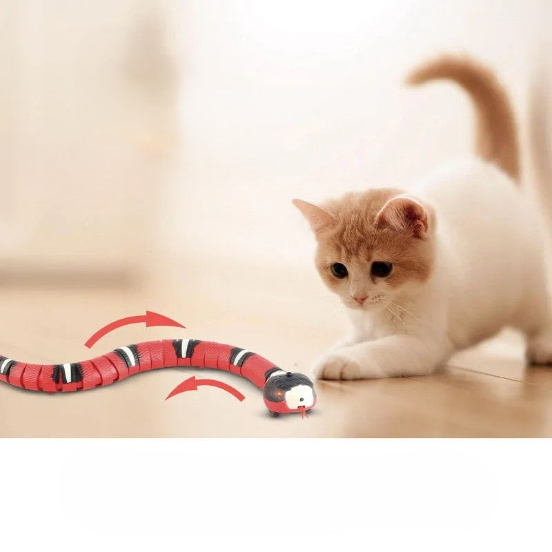Snakey - Interaktives Hundespielzeug