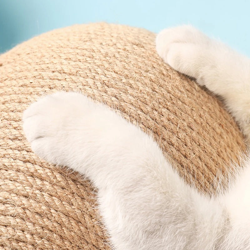 Kratzkugel: Kratzball für Katzen