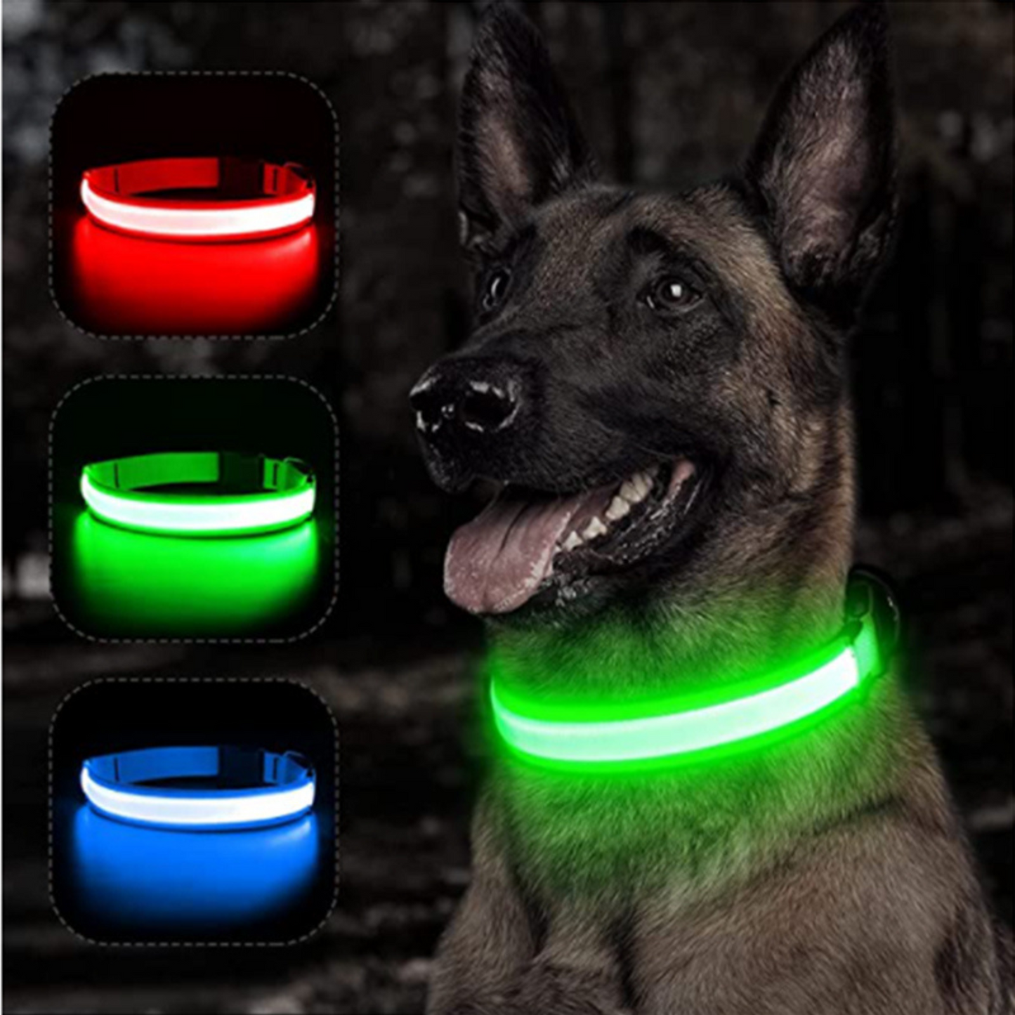 Sicheres LED-Hundehalsband