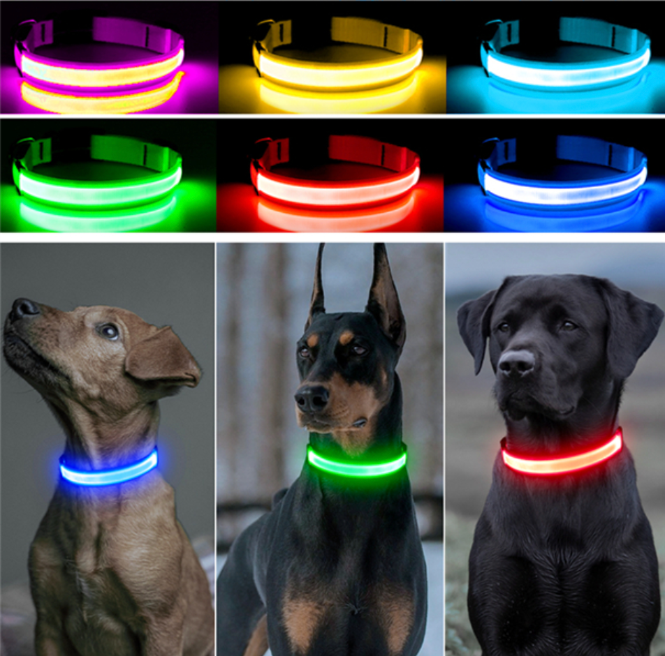 Sicheres LED-Hundehalsband