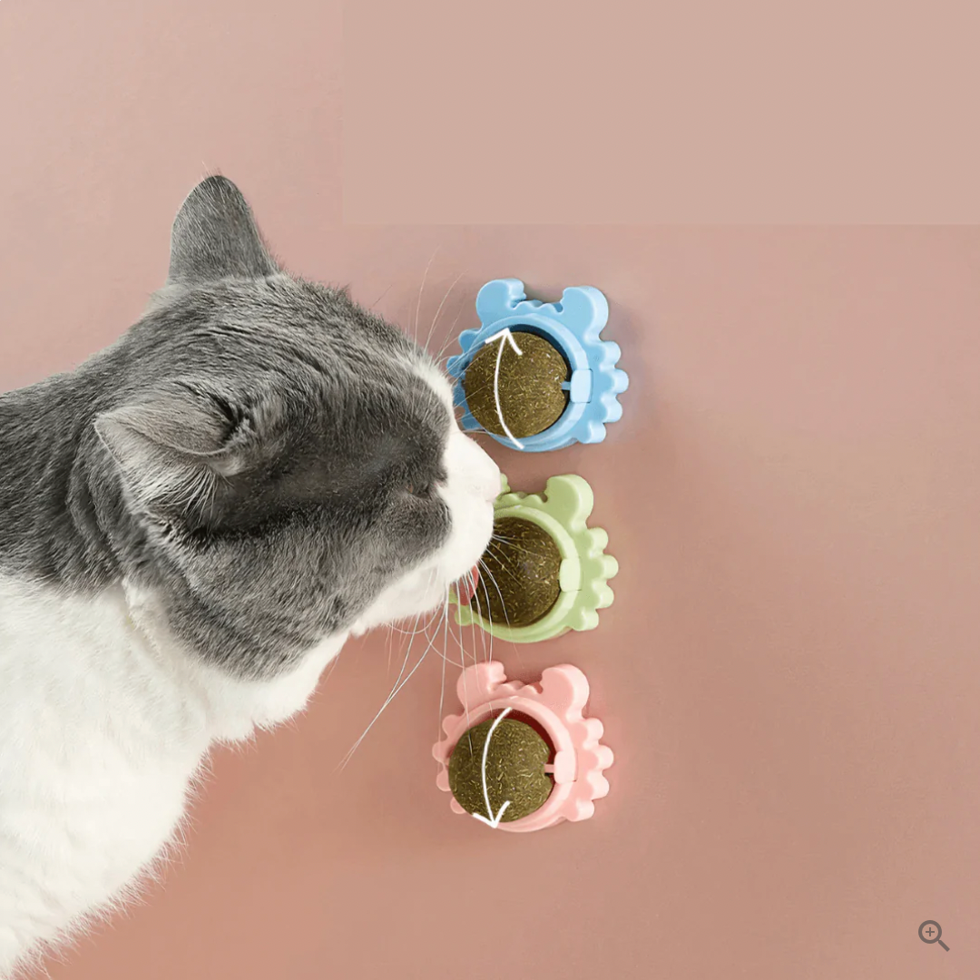 CatSnack Wandball zum Lecken