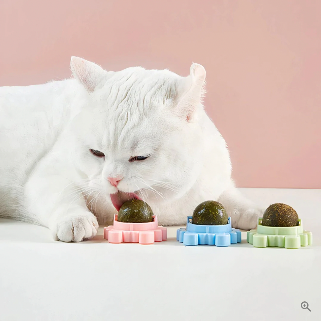 CatSnack Wandball zum Lecken