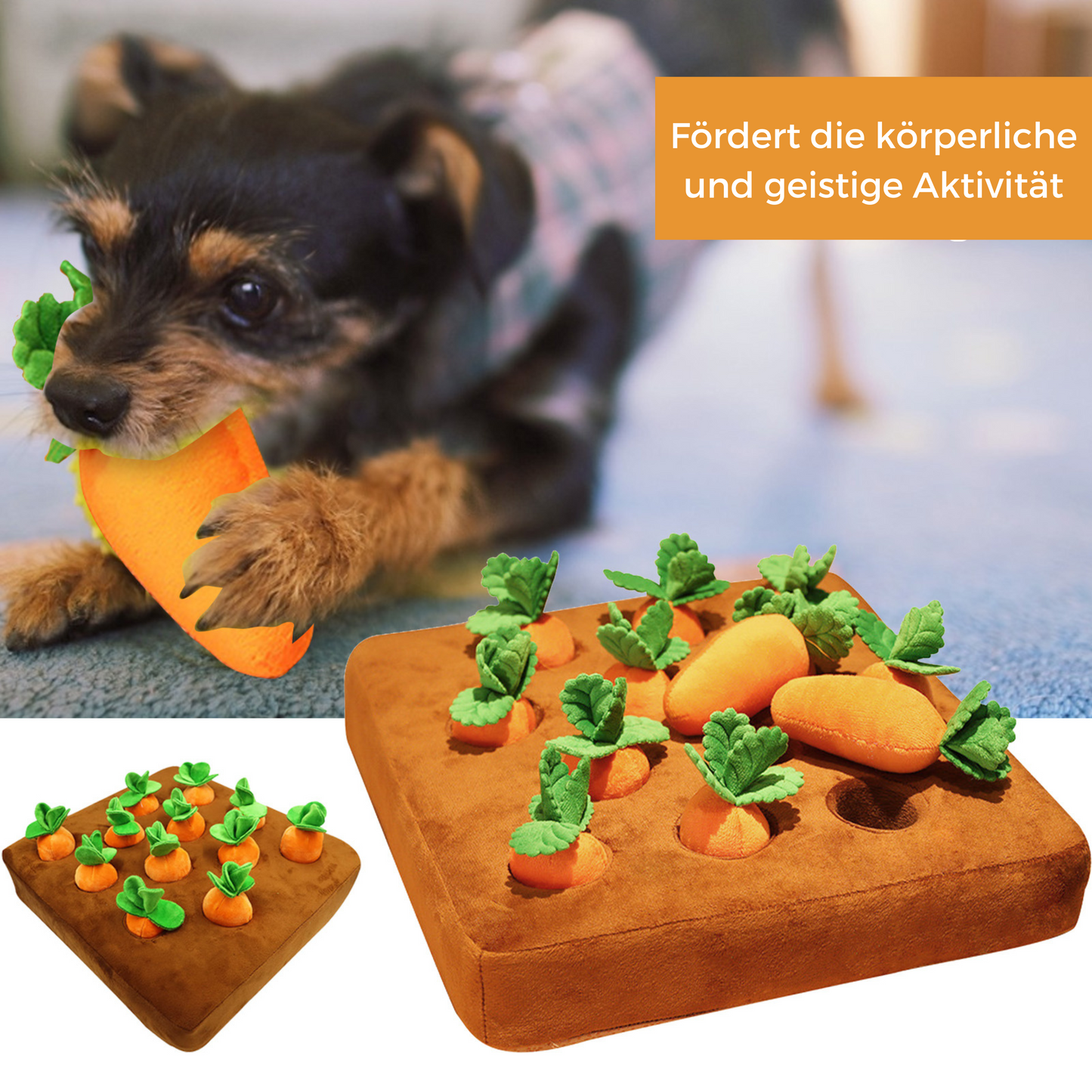 Der lustige Karottenhof - Das Spaßspiel für deinen Hund