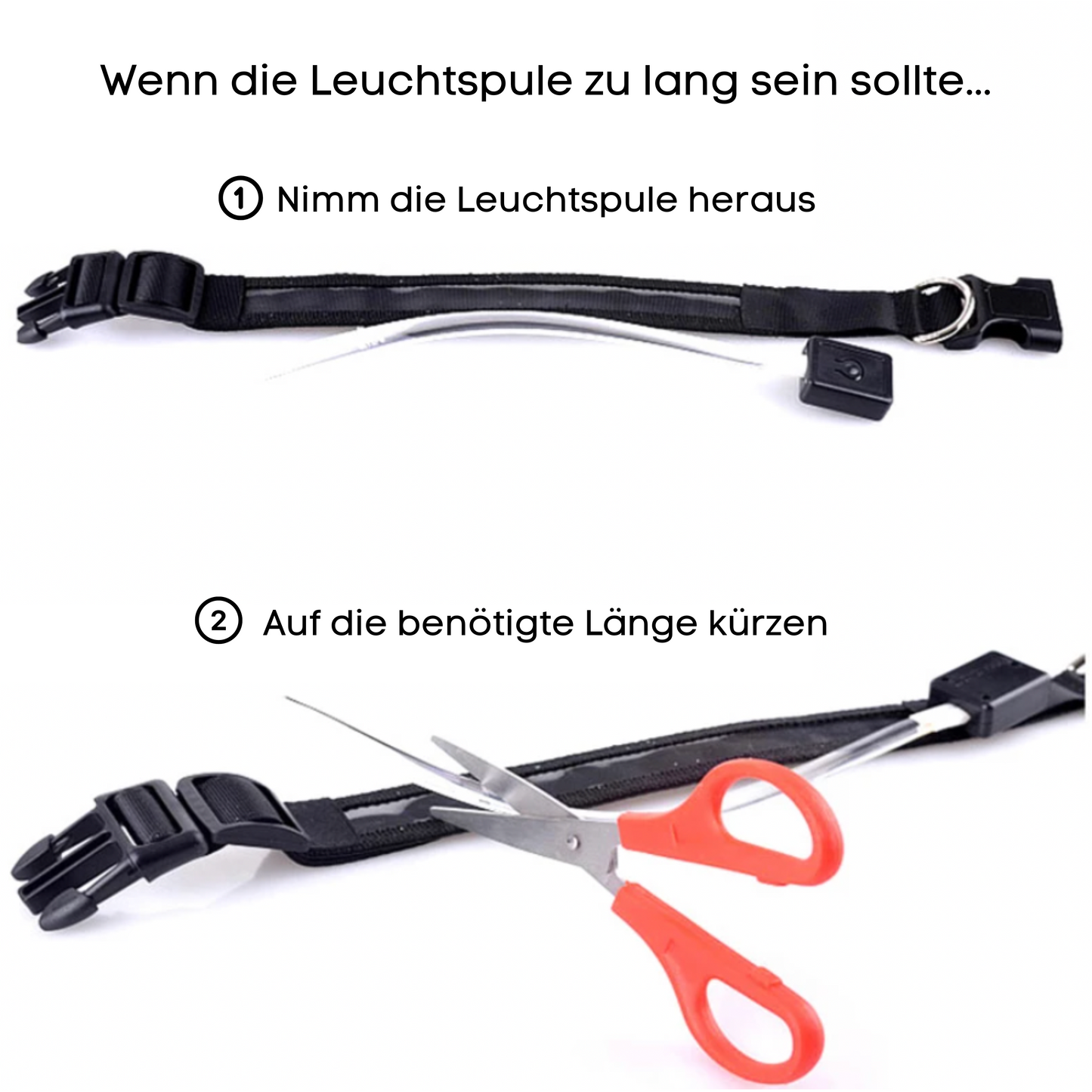 Leuchtendes Halsband inkl. GRATIS Namen integriert